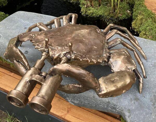 See Crab sculpture by Donnacha at Chelsea Flower Show. See Crab sculpture by Donnacha at Chelsea Flower Show.