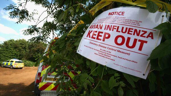 US and some EU states consider building stocks of bird flu vaccines for at-risk dairy and poultry workers
