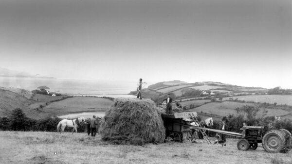 Ireland's tradition of saving hay to be documented