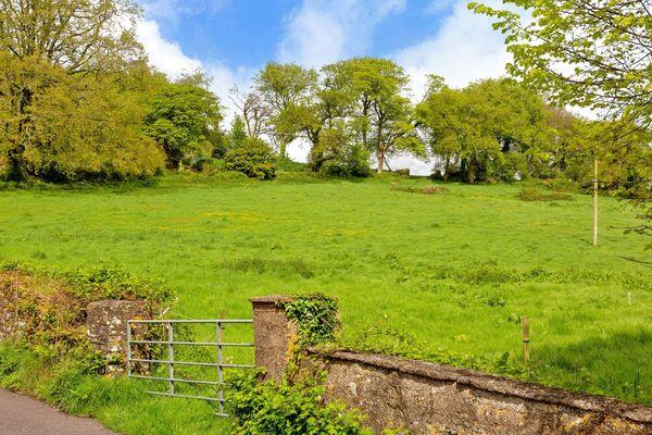 Some of the quality pasture on Lot 2 of Cuskinny House.