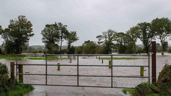 A challenging year continues to throw up more curveballs for farmers