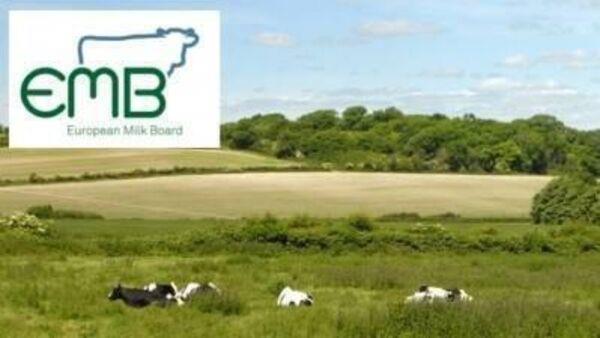 EMB — The emerging voice of Irish farmers in Europe