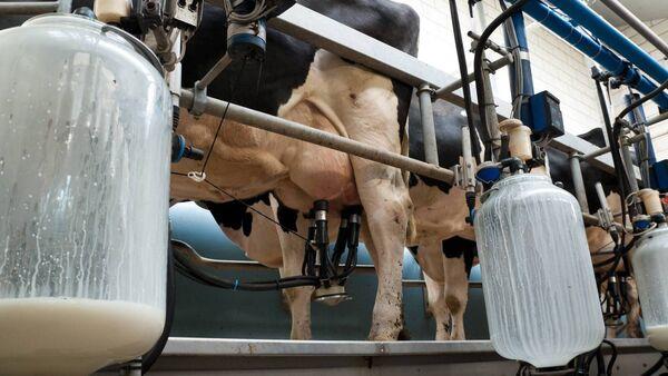 Dairy is a 'remarkable contributor' to the economy generating €17.6bn in economic value