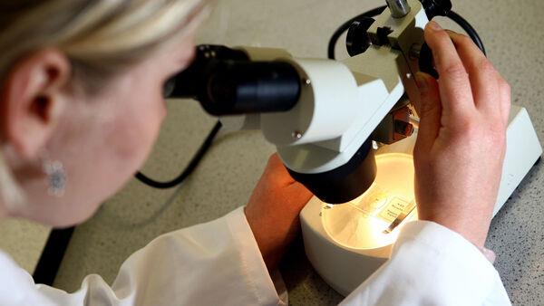‘Hidden’ bacteria could explain chronic urinary tract infections