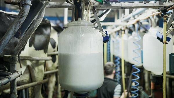 Carbery holds base price for October supplies