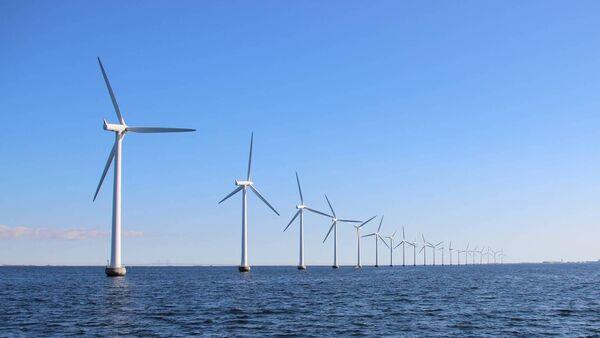 Offshore data company Green Rebel says it will create 75 new jobs 