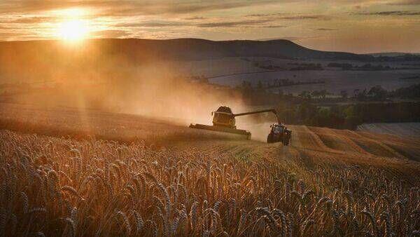Dairygold tillage conference takes place next week