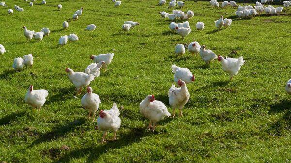 Any reduction in farmer margins 'will not be tolerated' as retail price war 'intensifies'