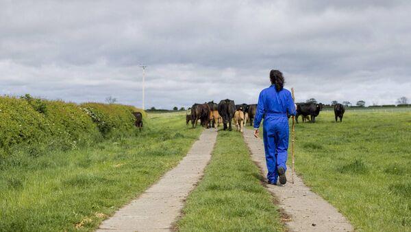 Forgotten farmers 'have waited far too long for a solution'