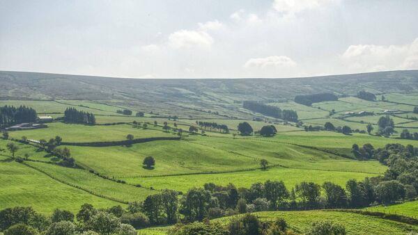 What level of rent is justified economically for farmers given the difficult year that passed