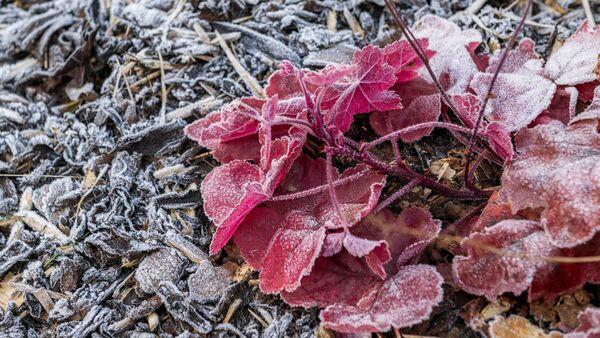 Mercury plunges to -6.3C in Cork as nationwide low temperature and ice warning issued