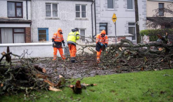 Kerry County Council emergency crews arrived to the Ballymullen area of Tralee to a fallen tree on Sunday. Picture: Domnick Walsh ? Eye Focus LTD